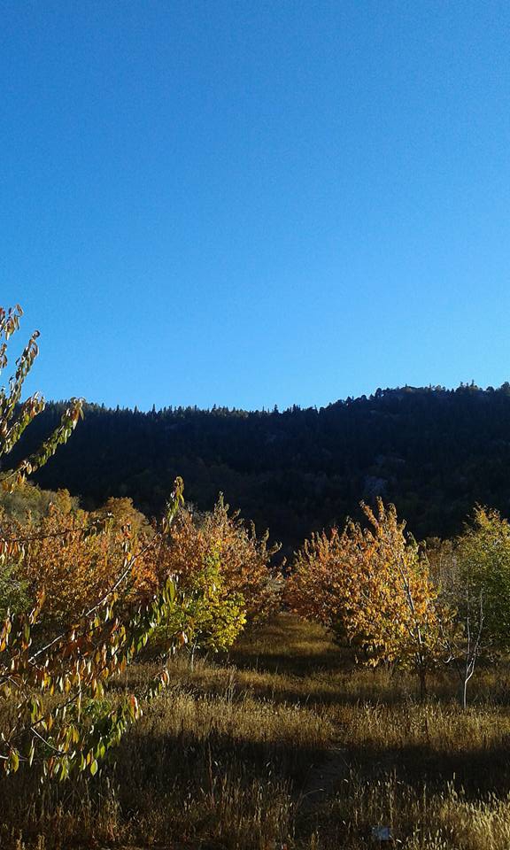Antalya Akseki Değirmenlik Köyü Resimleri 4