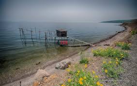 Şarköy Gaziköy Köyü Resimleri 11