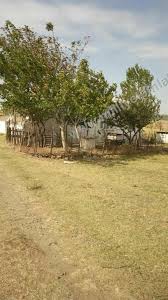 Şarköy Gölcük Köyü Resimleri 4