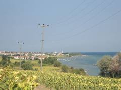 Şarköy Gölcük Köyü Resimleri 7