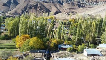 Şenkaya Çatalelma Köyü Resimleri 1