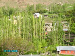 Şenkaya Çatalelma Köyü Resimleri 2