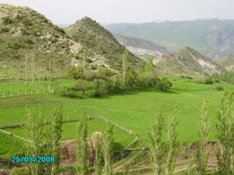Şenkaya Çatalelma Köyü Resimleri 3
