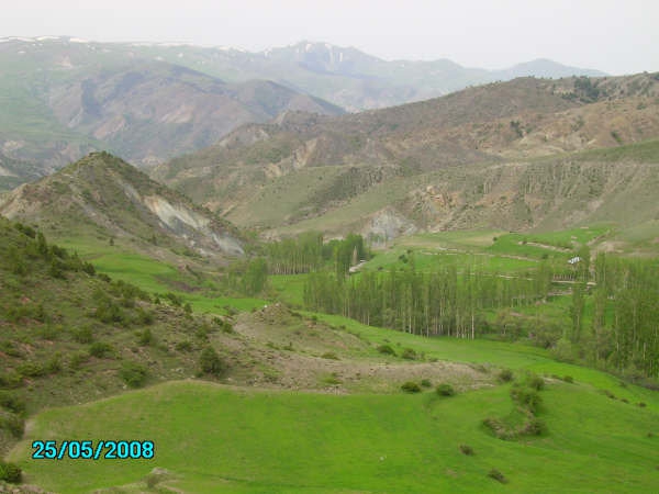 Şenkaya Çatalelma Köyü Resimleri 9