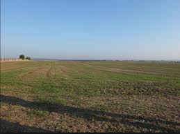 Şarköy Güzelköy Köyü Resimleri 1