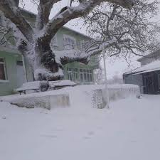 Şarköy Güzelköy Köyü Resimleri 5