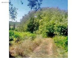 Şarköy Güzelköy Köyü Resimleri 8