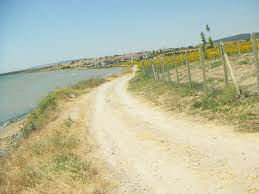 Şarköy Kızılcaterzi Köyü Resimleri 1