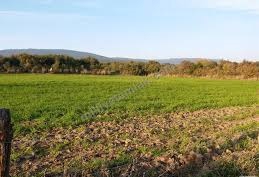 Şarköy Kızılcaterzi Köyü Resimleri 3