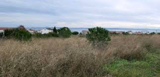 Şarköy Kızılcaterzi Köyü Resimleri 6