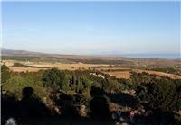 Şarköy Kocaali Köyü Resimleri 1