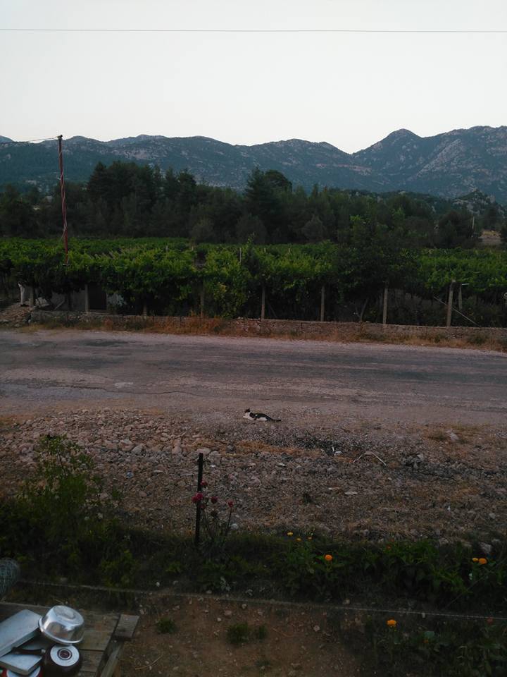 Antalya Akseki Erenyaka Köyü Resimleri 4