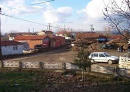 Şarköy Palamut Köyü Resimleri 4