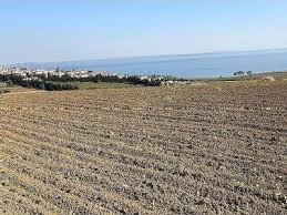 Şarköy Şenköy Köyü Resimleri 4