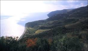 Şarköy Uçmakdere Köyü Resimleri 2