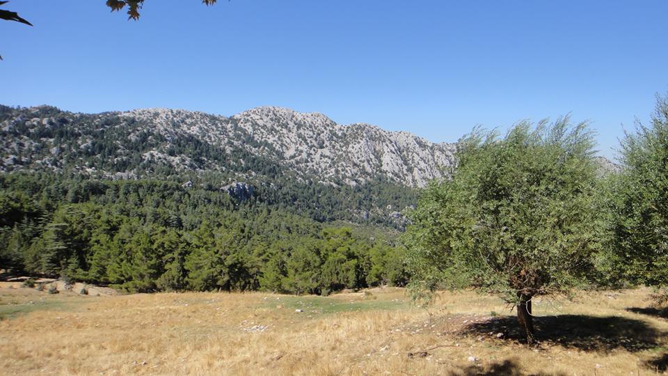 Antalya Akseki Geriş Köyü Resimleri 10