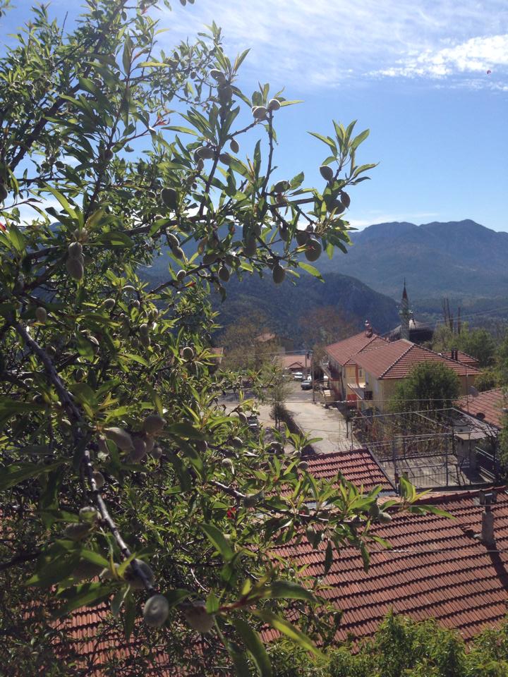 Antalya Akseki Geriş Köyü Resimleri 14