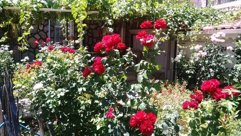 Antalya Akseki Geriş Köyü Resimleri 7