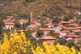 Şarköy Yörgüç Köyü Resimleri 1