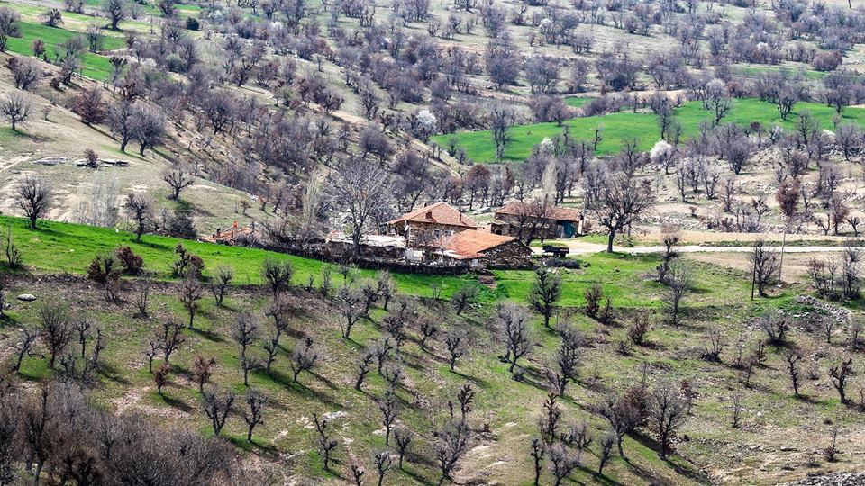 Selendi Karakozan Köyü Resimleri 13