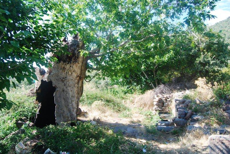 Selendi Karataşterziler Köyü Resimleri 1