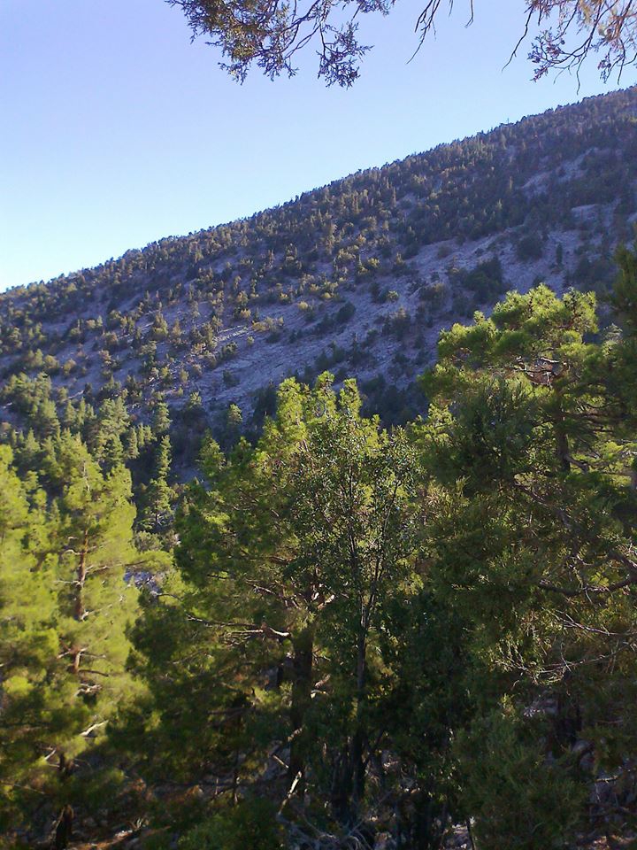 Antalya Akseki Gümüşdamla Köyü Resimleri 12