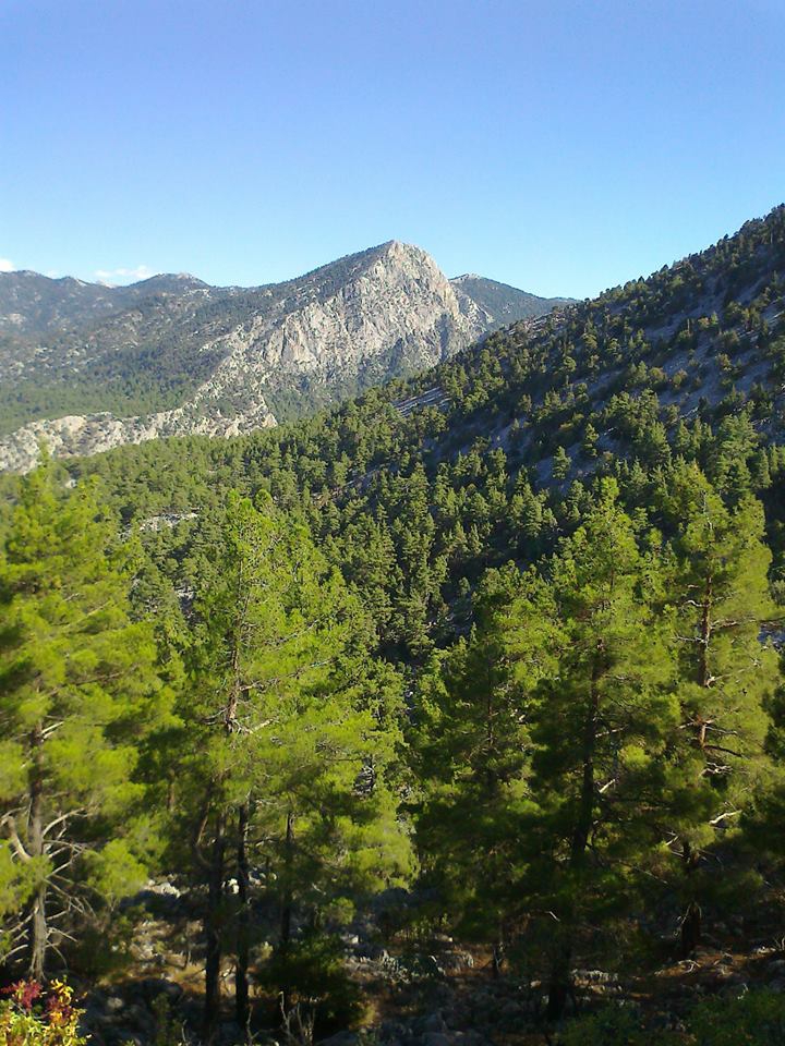 Antalya Akseki Gümüşdamla Köyü Resimleri 13