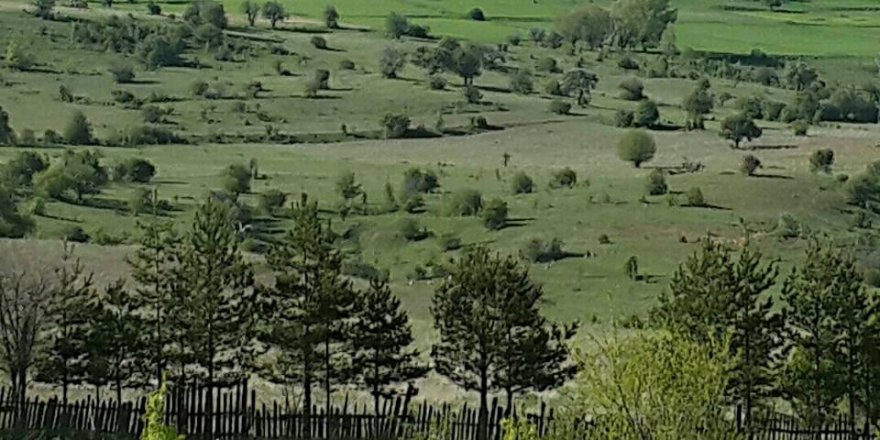 Gerede Akçabey Köyü Resimleri