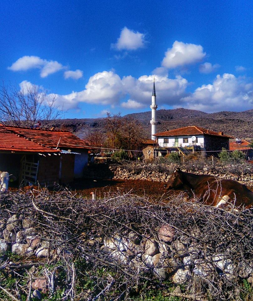 Selendi Kazıklı Köyü Resimleri 9