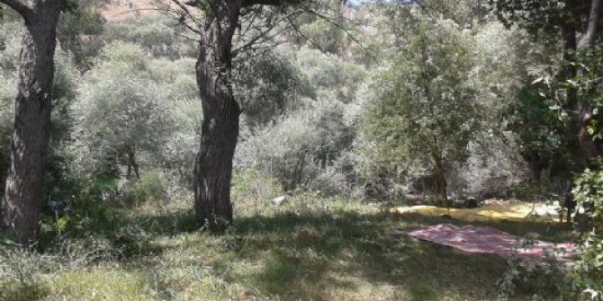 Gerede Akçaşehir Köyü Resimleri 2