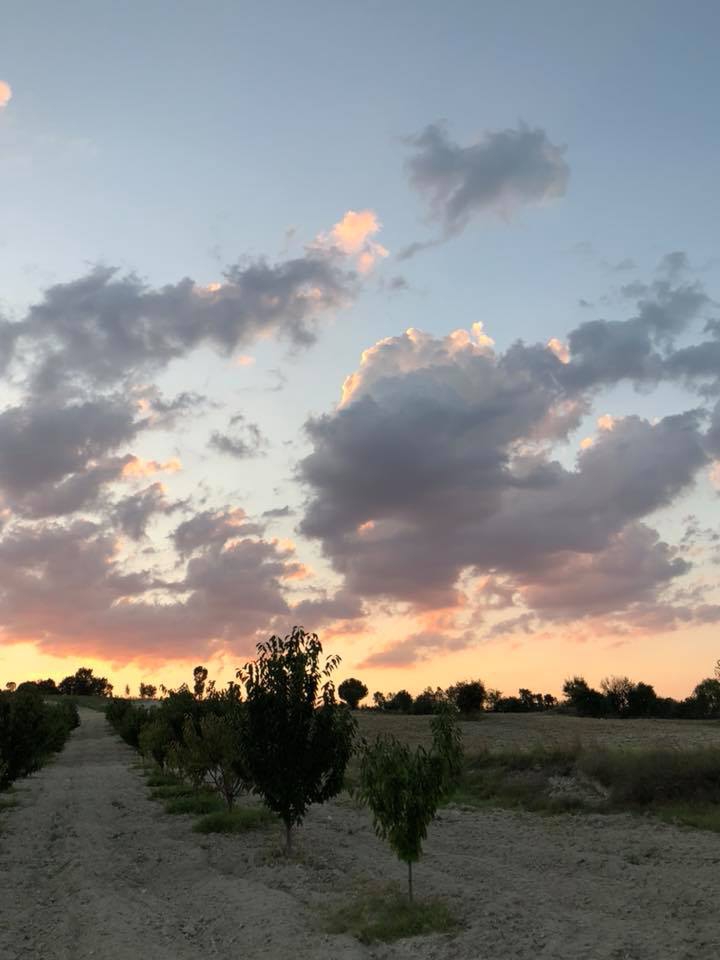 Selendi Kürkçü Köyü Resimleri 18