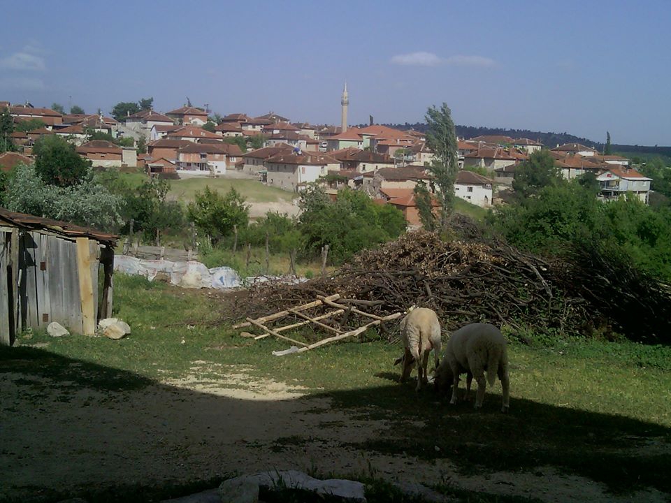 Selendi Kürkçü Köyü Resimleri 2