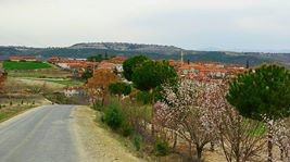 Selendi Kürkçü Köyü Resimleri 4