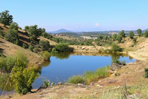 Selendi Kürkçü Köyü Resimleri 7
