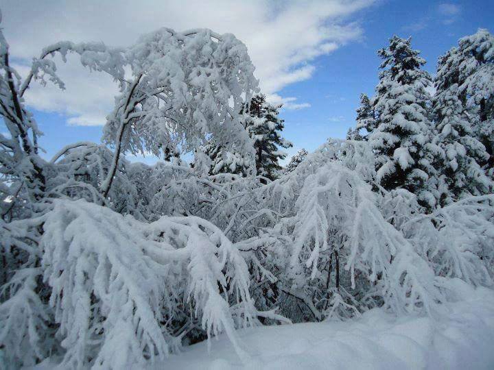 Antalya Akseki Günyaka Köyü Resimleri 1