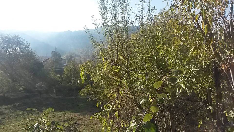 Antalya Akseki Günyaka Köyü Resimleri 5