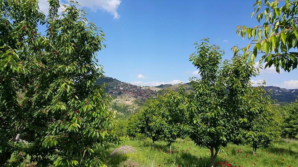 Selendi Pınarlar Köyü Resimleri 4