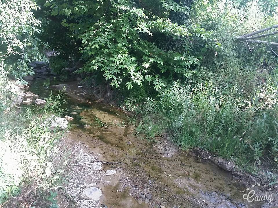 Selendi Pınarlar Köyü Resimleri 9