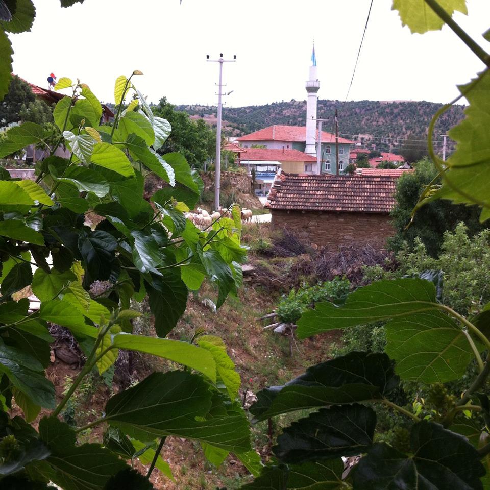 Selendi Rahmanlar Köyü Resimleri 4