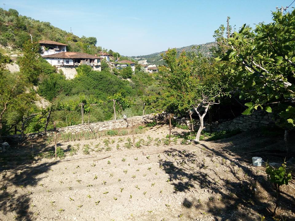 Selendi Selmanhacılar Köyü Resimleri 18