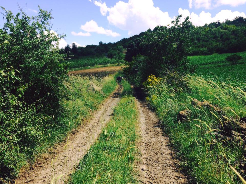 Selendi Selmanhacılar Köyü Resimleri 21