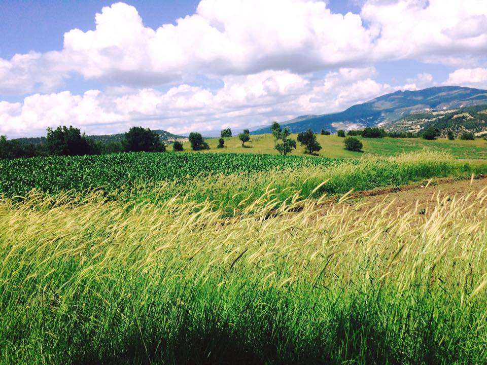 Selendi Selmanhacılar Köyü Resimleri 22