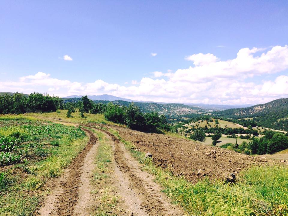 Selendi Selmanhacılar Köyü Resimleri 24
