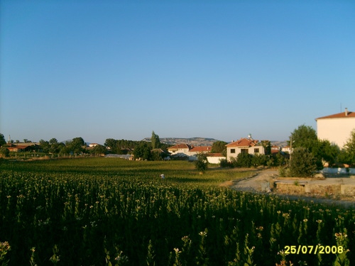 Selendi Şehirlioğlu Köyü Resimleri 2