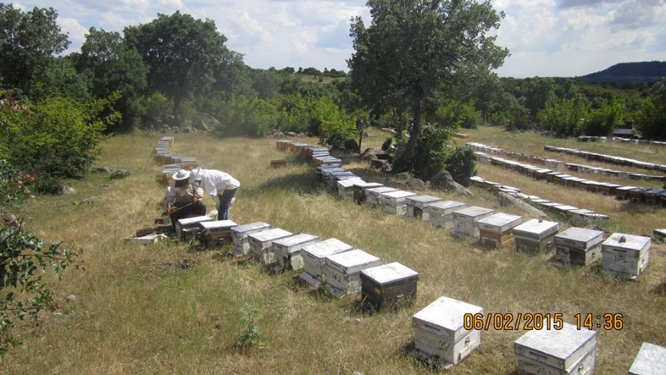 Selendi Yağcı Köyü Resimleri 1