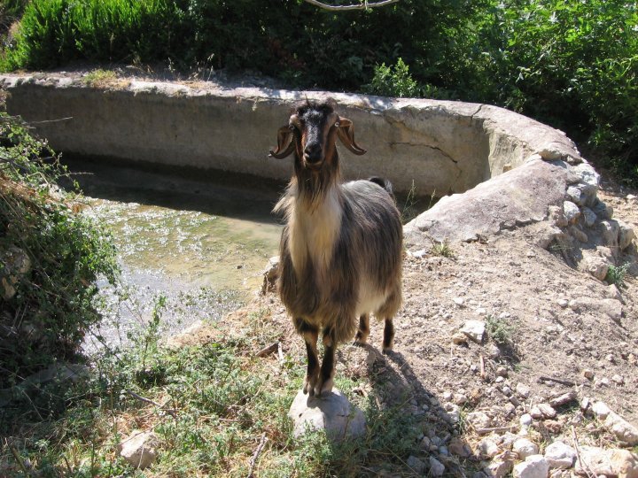 Antalya Akseki Kepez Köyü Resimleri 7