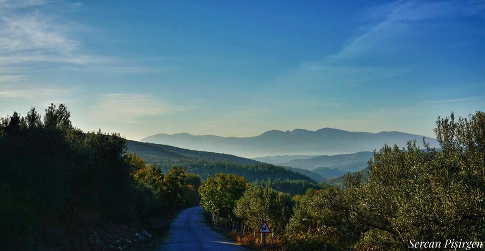 Soma Boncuklu Köyü Resimleri 21