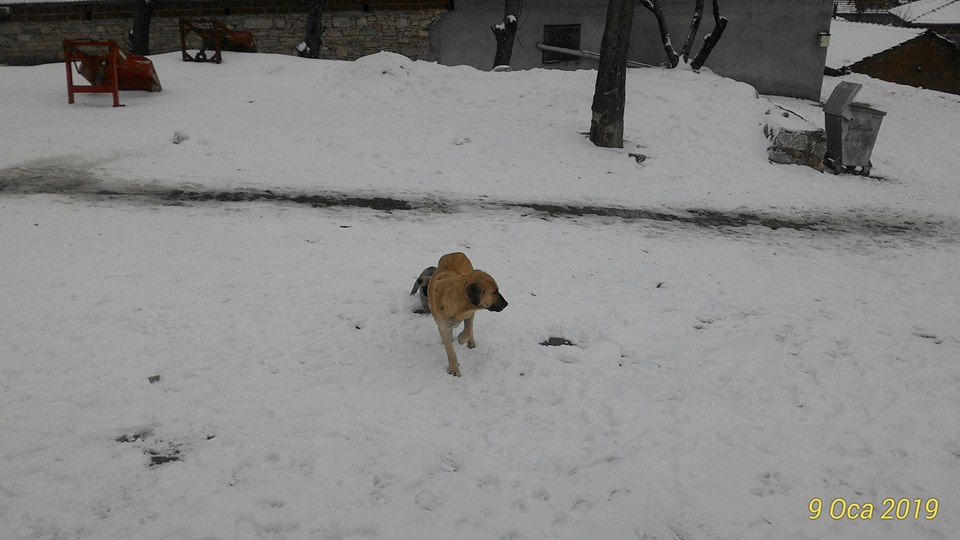 Soma Bozarmut Köyü Resimleri 6