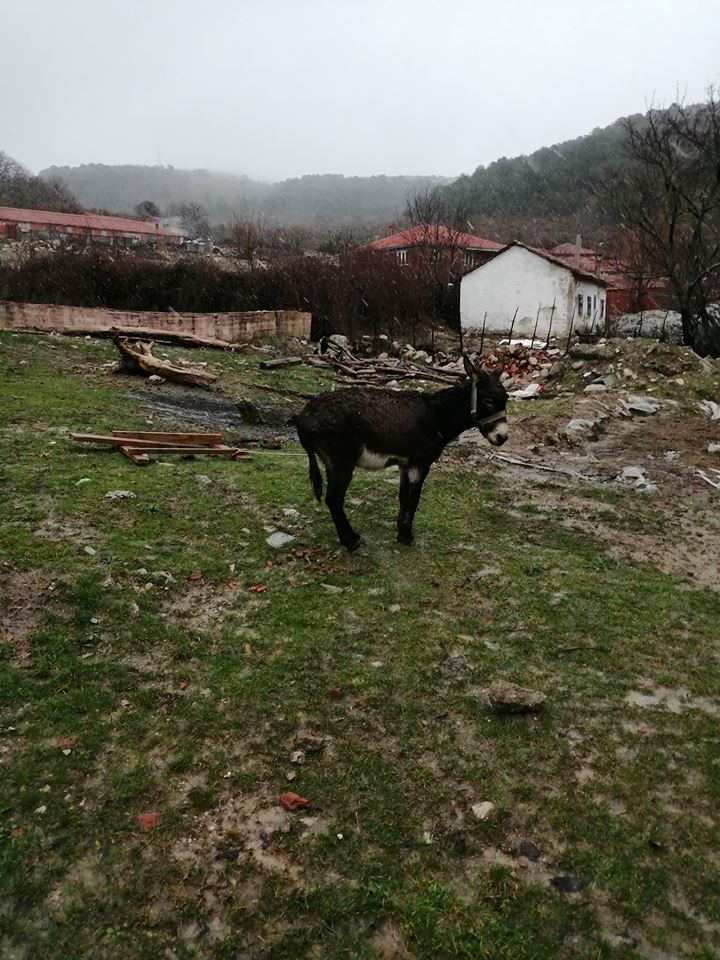 Soma Bozarmut Köyü Resimleri 7