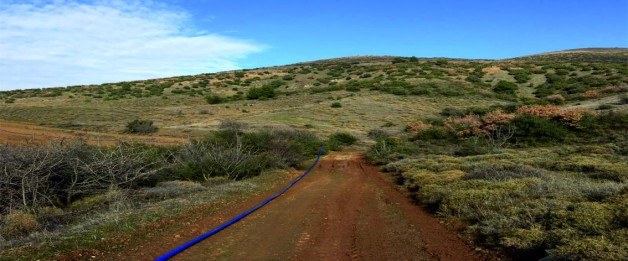 Soma Büyükgüney Köyü Resimleri 7